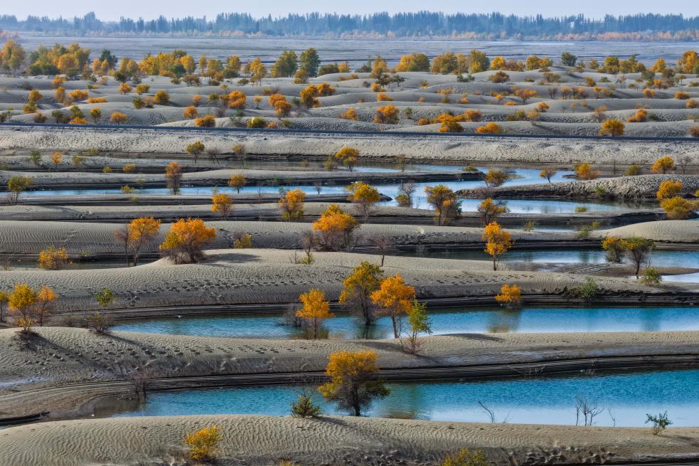 无码人妻少妇色欲AV一区二区