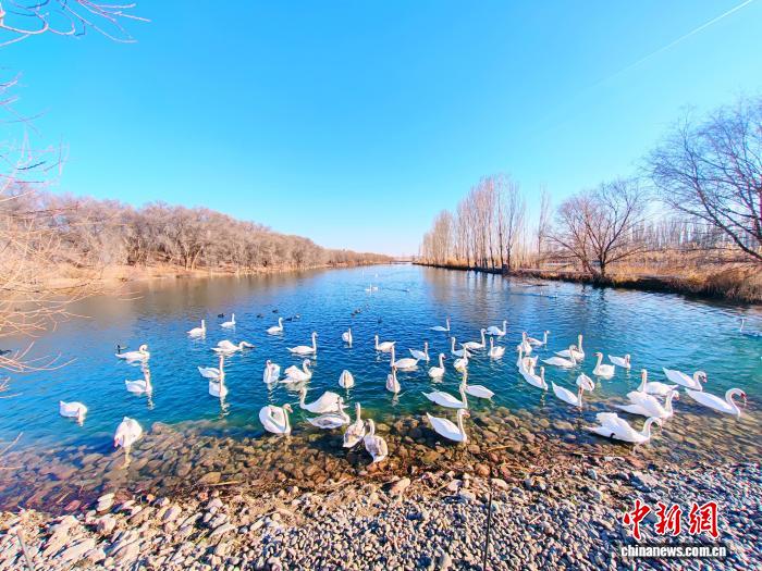 无码人妻少妇色欲AV一区二区