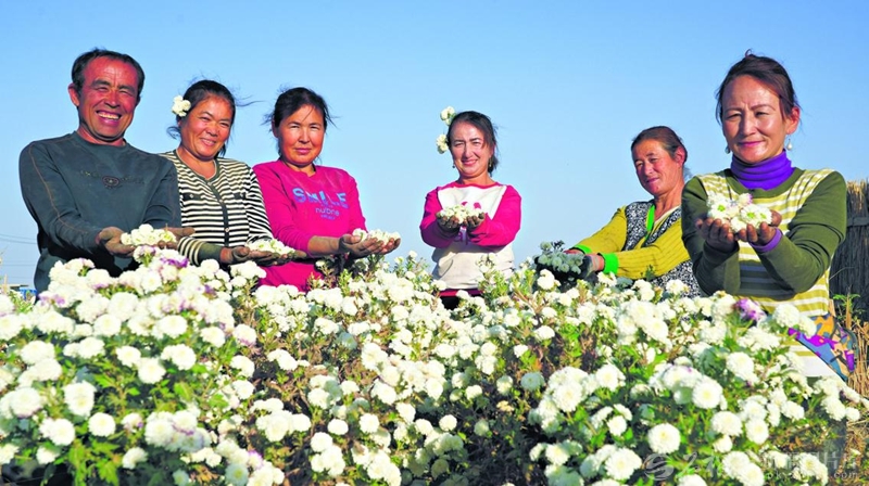 无码人妻少妇色欲AV一区二区