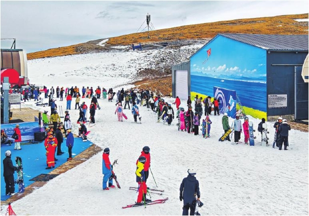 无码人妻少妇色欲AV一区二区