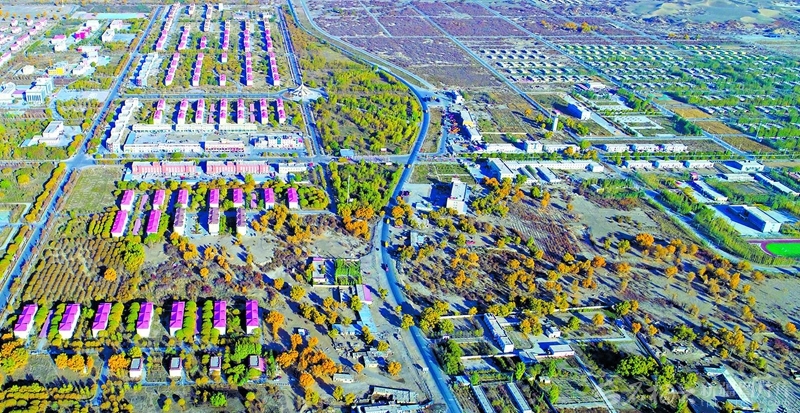 无码人妻少妇色欲AV一区二区