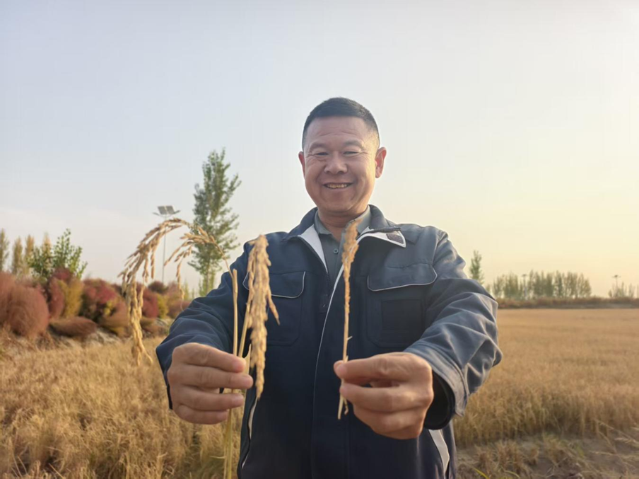 无码人妻少妇色欲AV一区二区