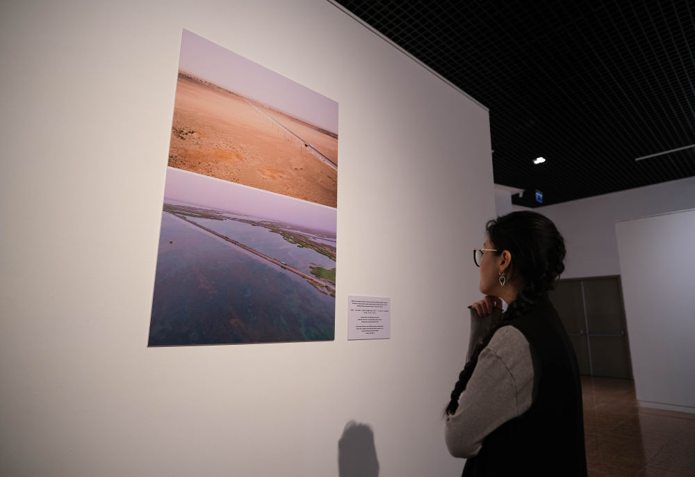 无码人妻少妇色欲AV一区二区