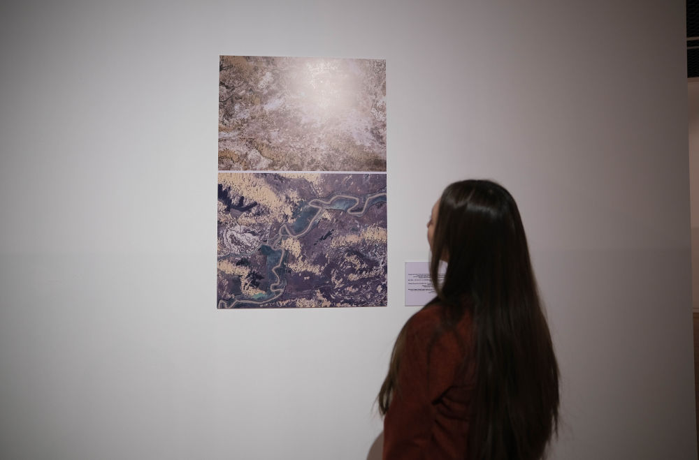 无码人妻少妇色欲AV一区二区