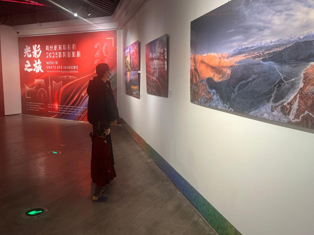 无码人妻少妇色欲AV一区二区