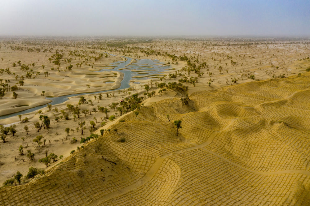 无码人妻少妇色欲AV一区二区