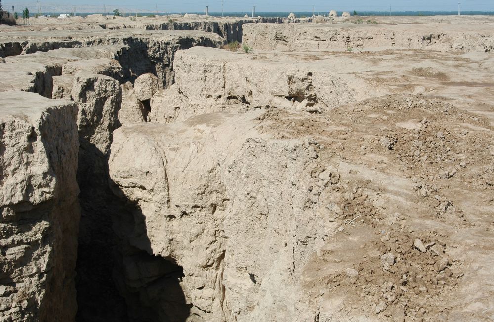 无码人妻少妇色欲AV一区二区