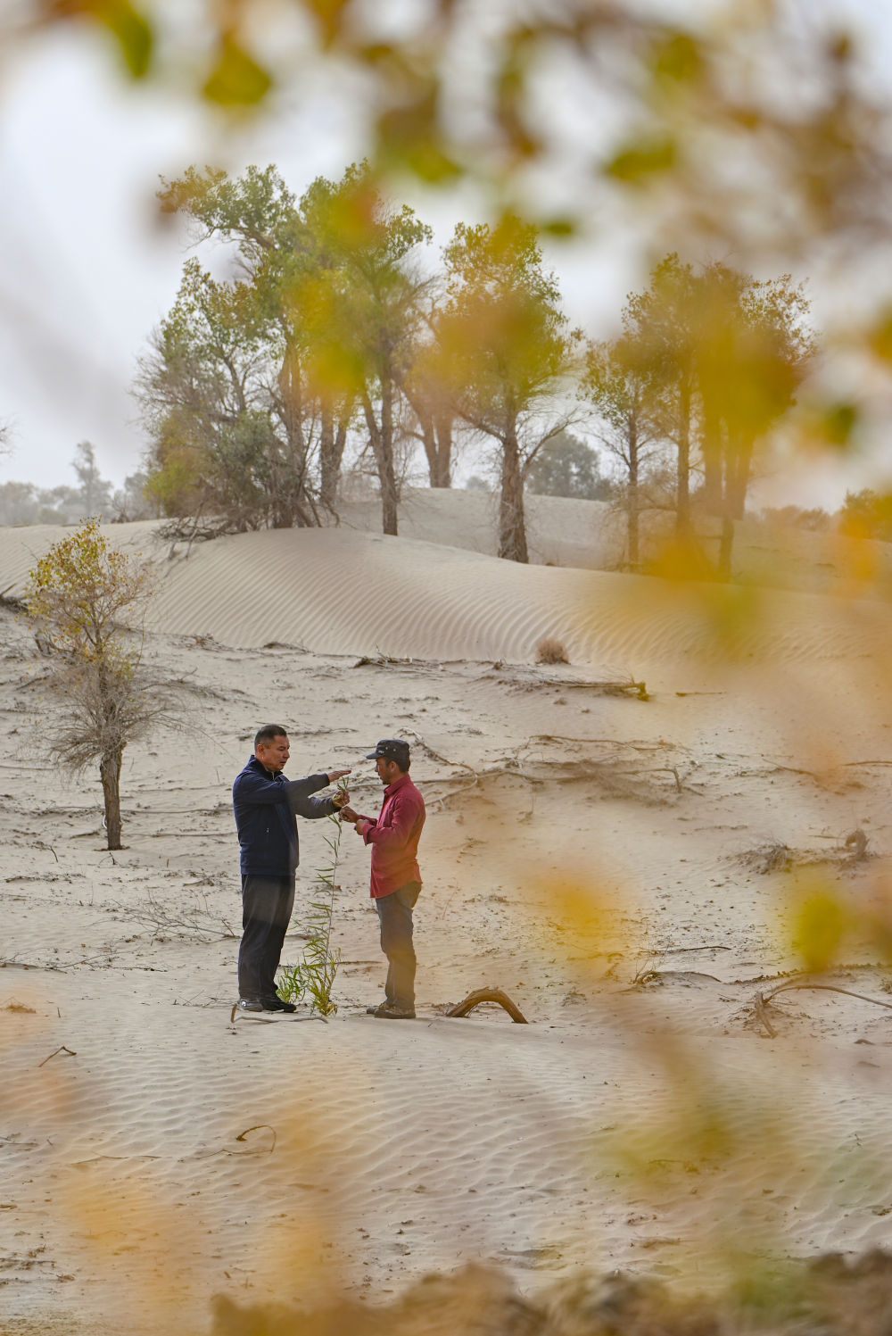 无码人妻少妇色欲AV一区二区