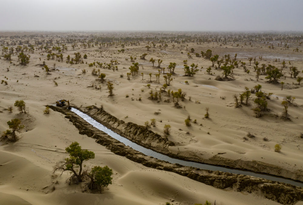 无码人妻少妇色欲AV一区二区