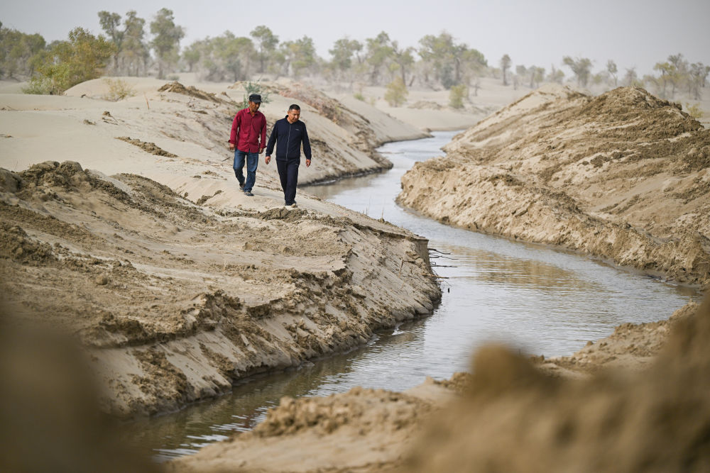 无码人妻少妇色欲AV一区二区