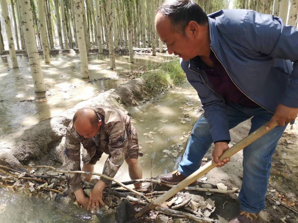 无码人妻少妇色欲AV一区二区