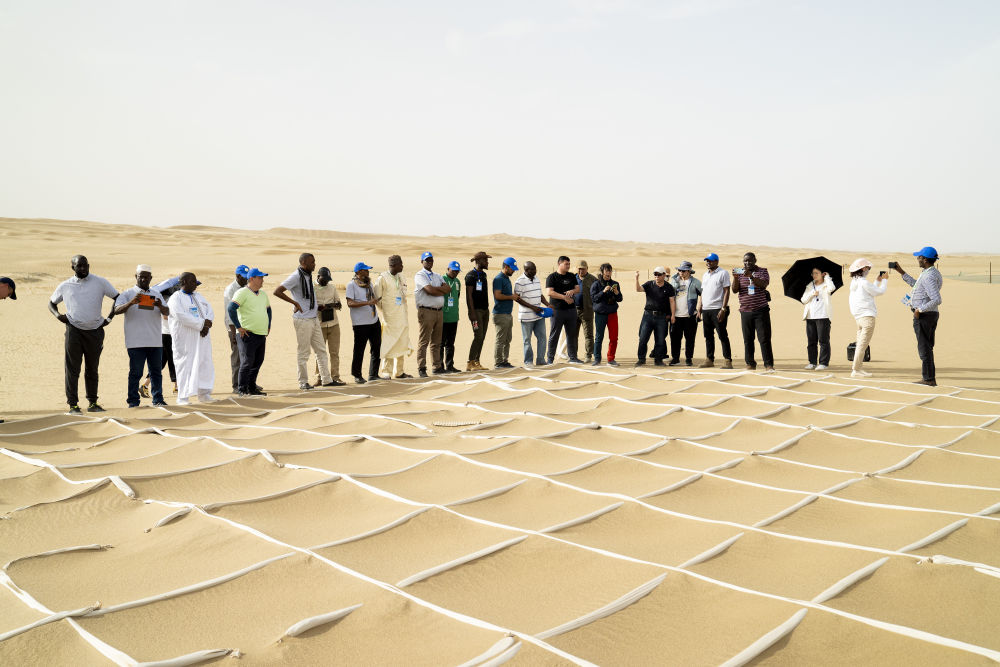 无码人妻少妇色欲AV一区二区