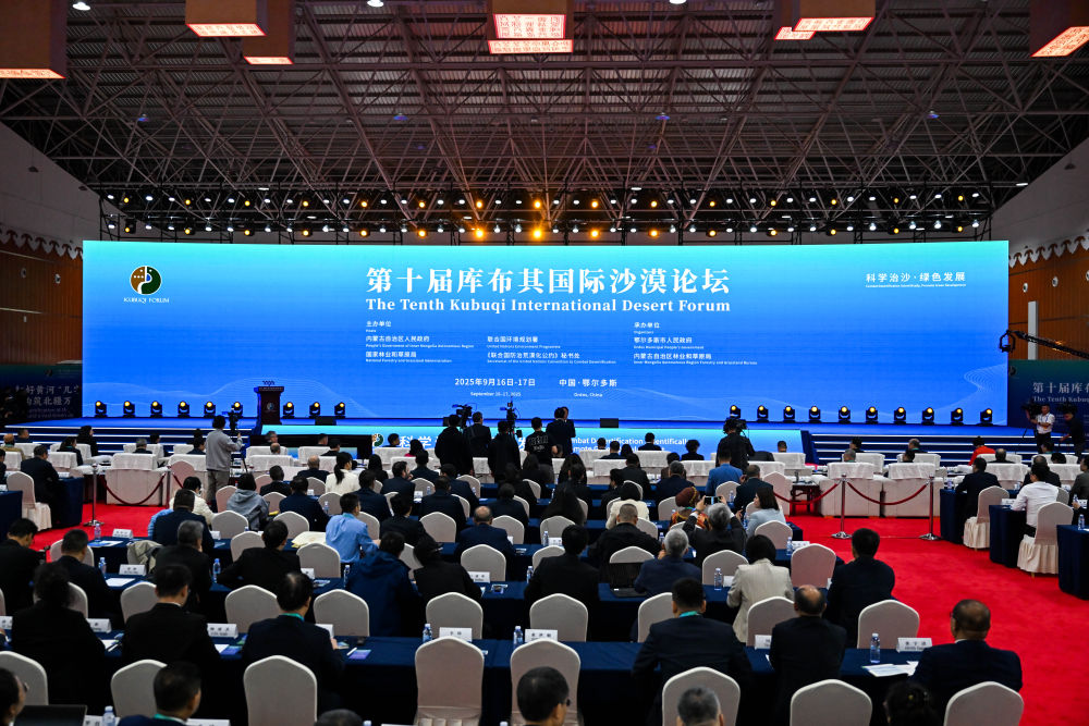 无码人妻少妇色欲AV一区二区