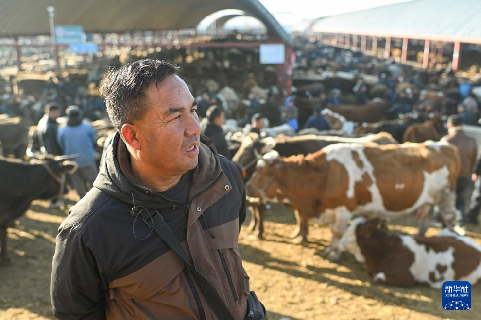 无码人妻少妇色欲AV一区二区