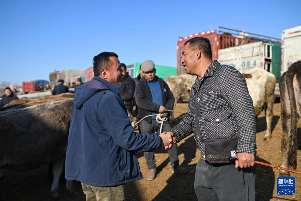 无码人妻少妇色欲AV一区二区