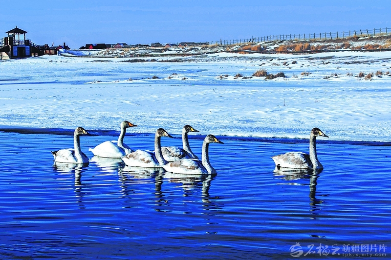 无码人妻少妇色欲AV一区二区