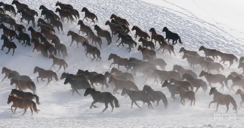 无码人妻少妇色欲AV一区二区