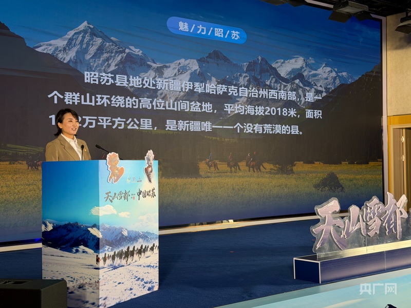 无码人妻少妇色欲AV一区二区