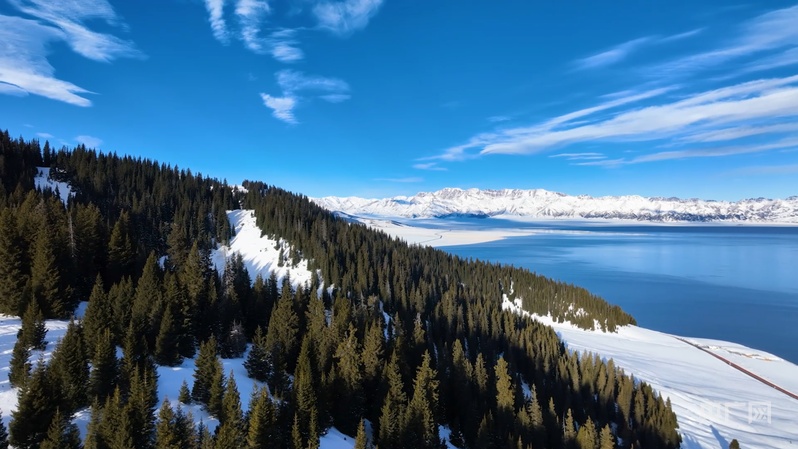 无码人妻少妇色欲AV一区二区