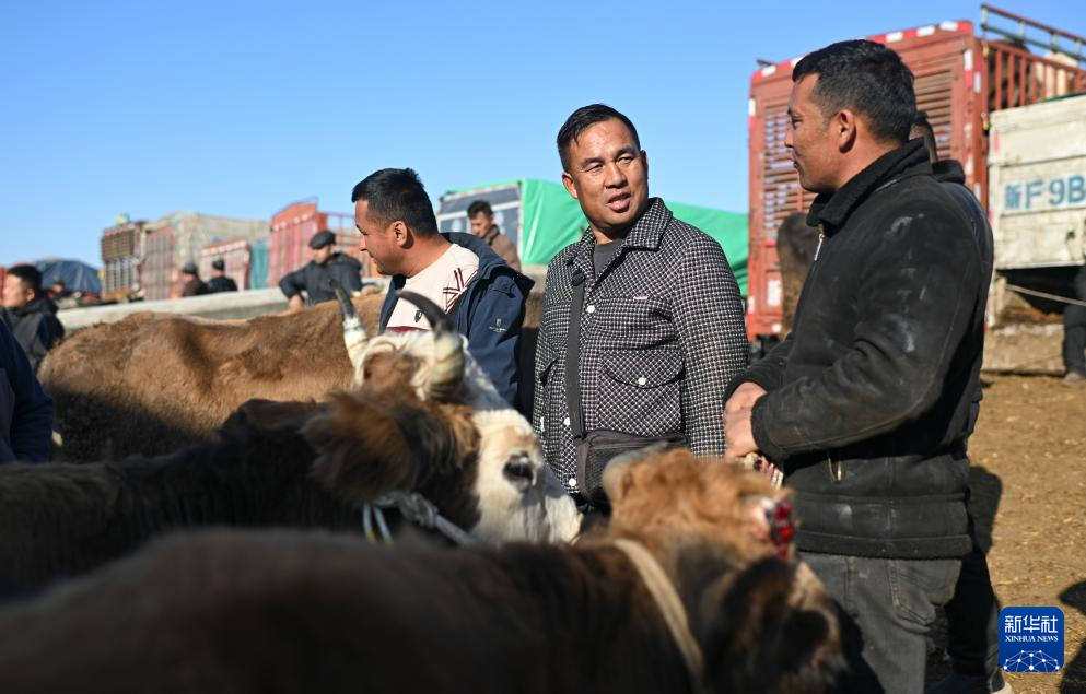 无码人妻少妇色欲AV一区二区