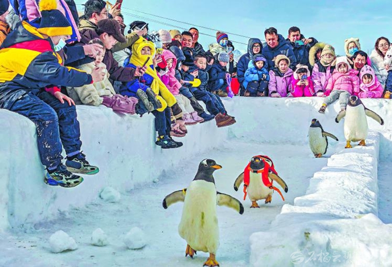 无码人妻少妇色欲AV一区二区