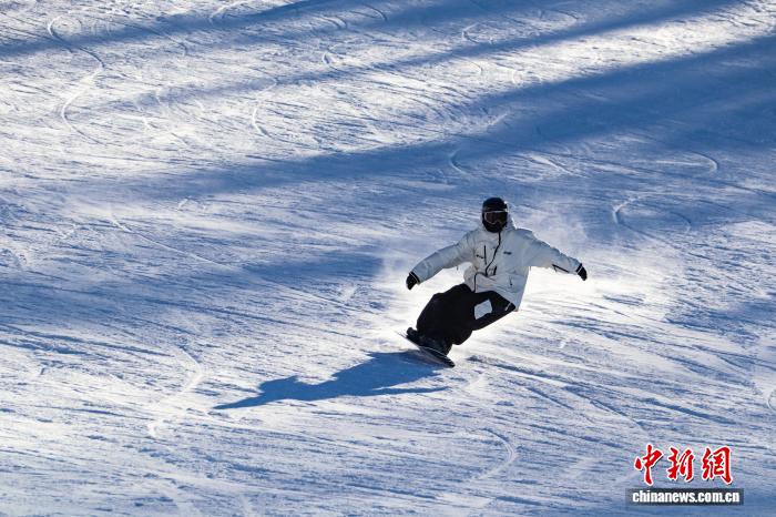 无码人妻少妇色欲AV一区二区