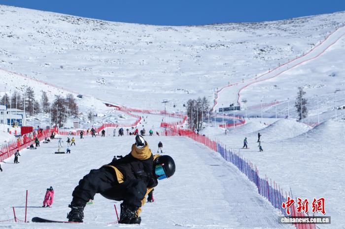 无码人妻少妇色欲AV一区二区