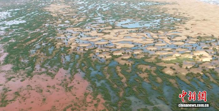 无码人妻少妇色欲AV一区二区