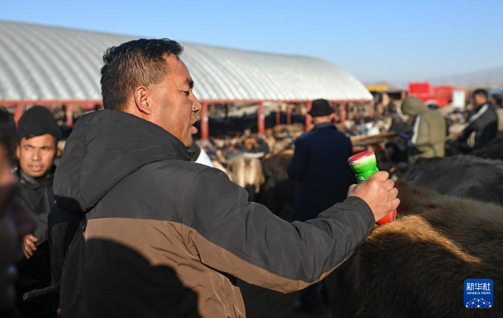 无码人妻少妇色欲AV一区二区