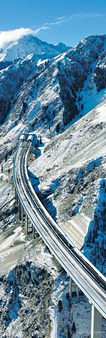 无码人妻少妇色欲AV一区二区