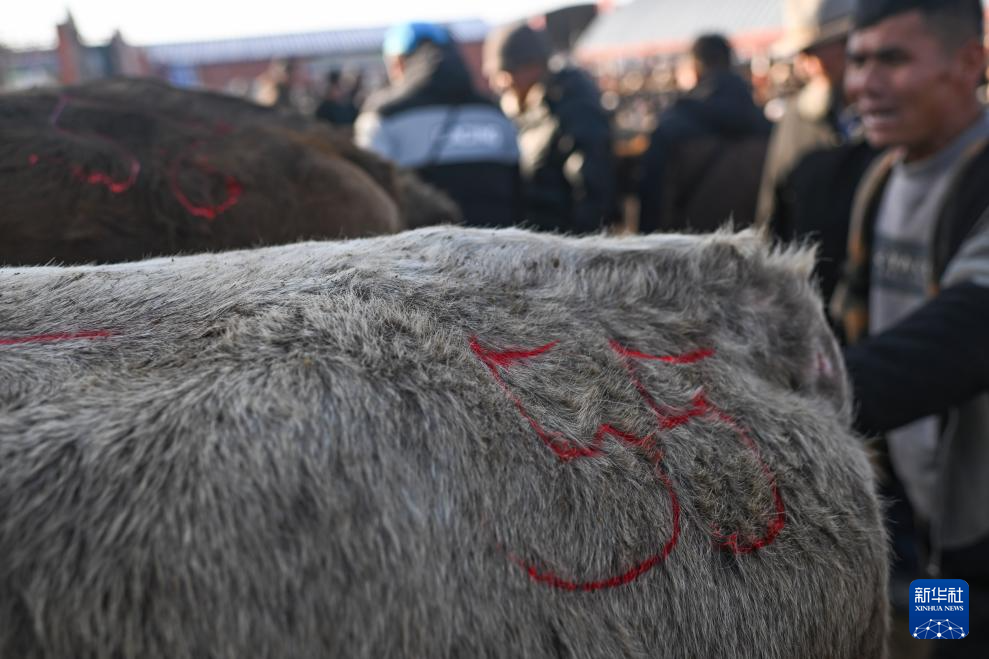 无码人妻少妇色欲AV一区二区