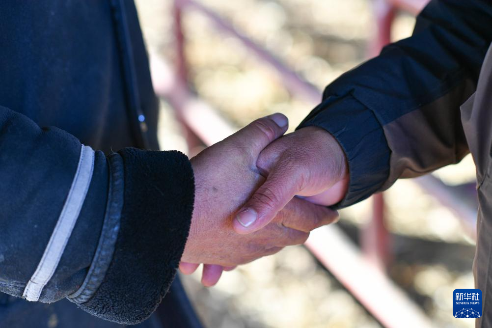 无码人妻少妇色欲AV一区二区