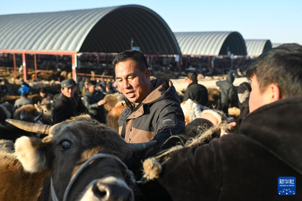 无码人妻少妇色欲AV一区二区