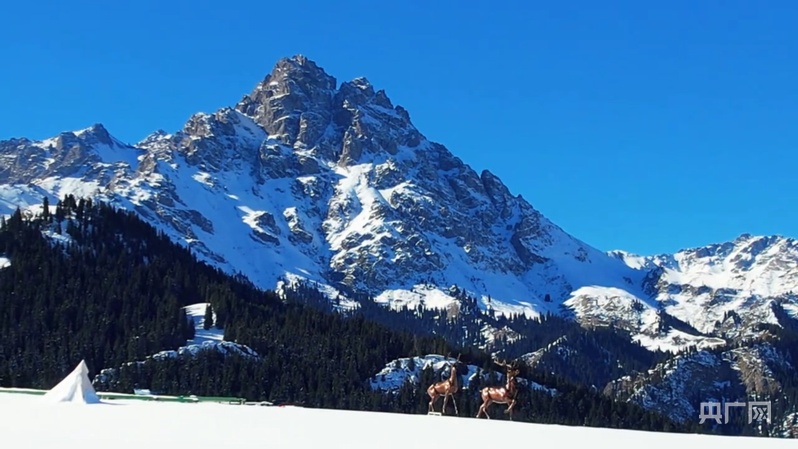 无码人妻少妇色欲AV一区二区