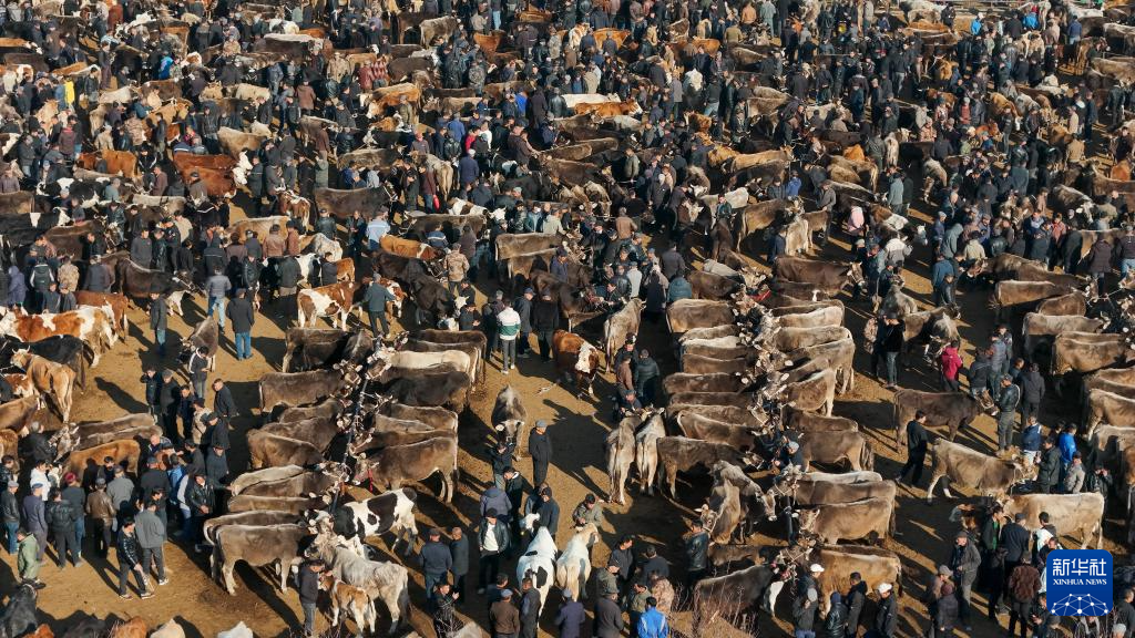 无码人妻少妇色欲AV一区二区