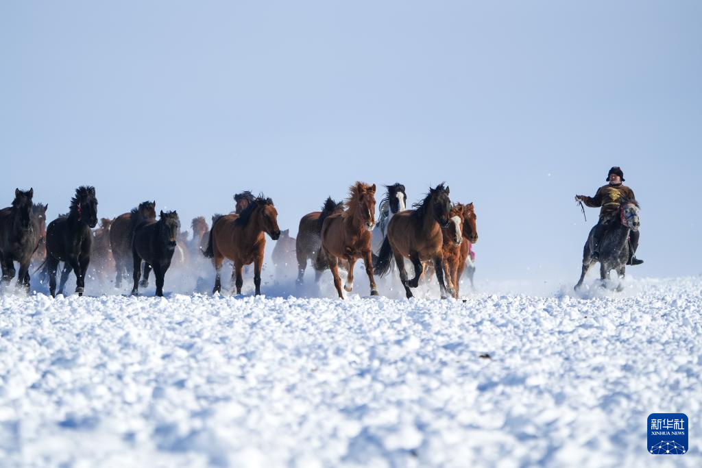 无码人妻少妇色欲AV一区二区