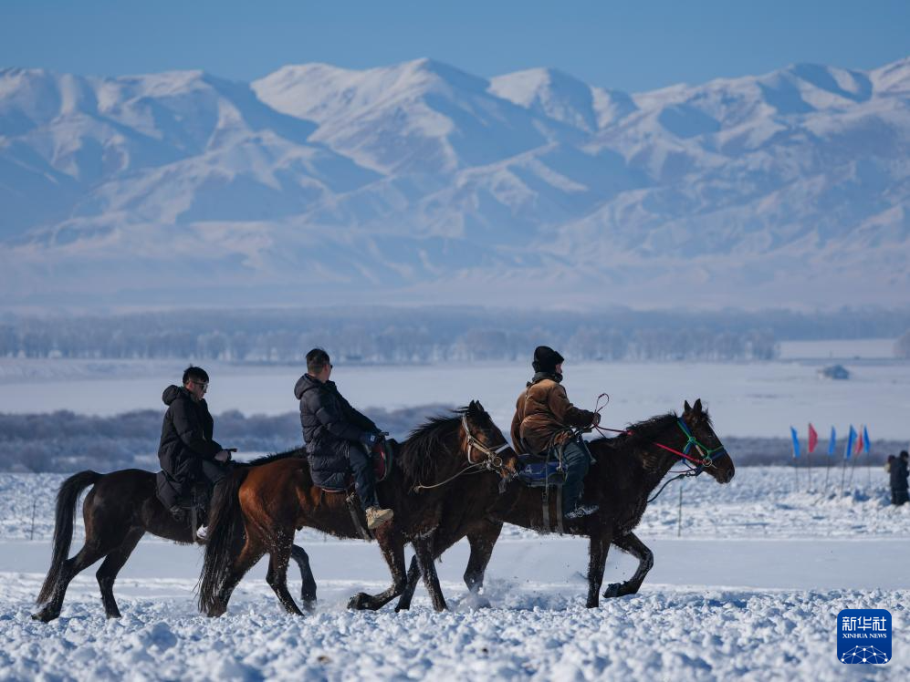 无码人妻少妇色欲AV一区二区