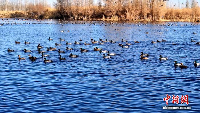 无码人妻少妇色欲AV一区二区