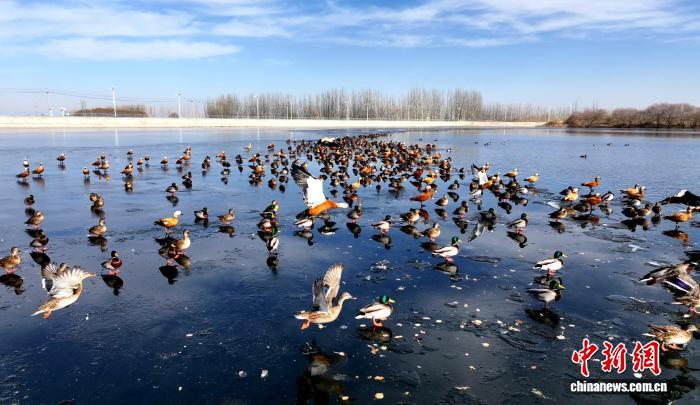 无码人妻少妇色欲AV一区二区