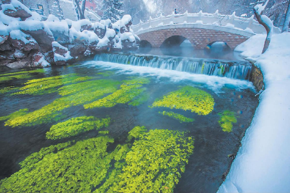 无码人妻少妇色欲AV一区二区