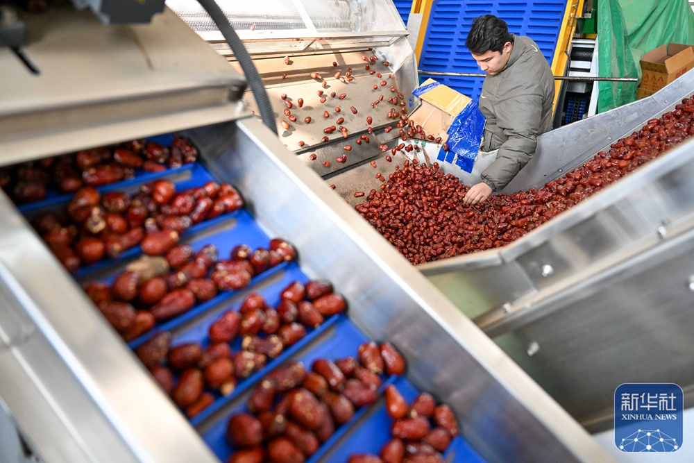 无码人妻少妇色欲AV一区二区