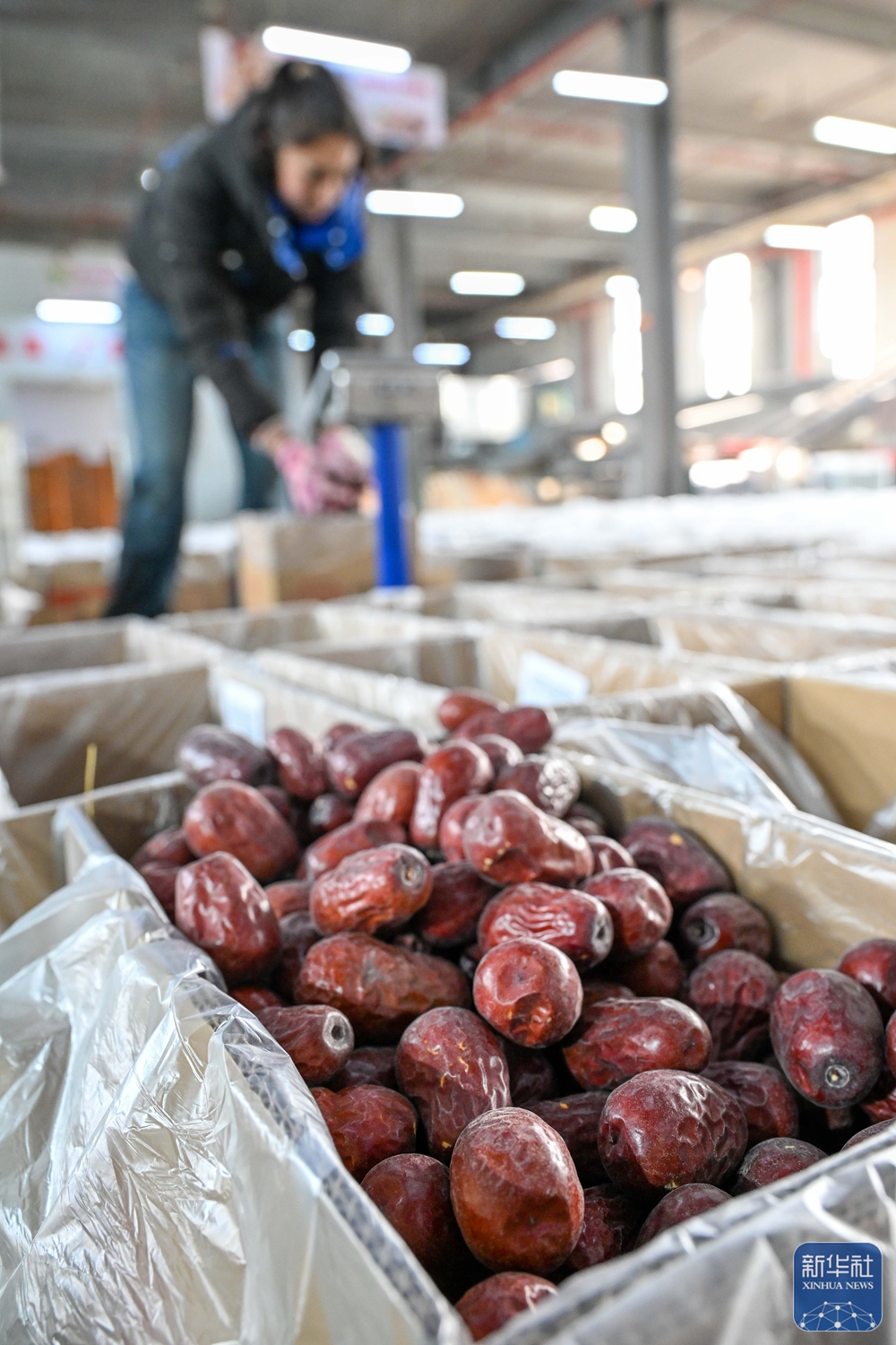 无码人妻少妇色欲AV一区二区