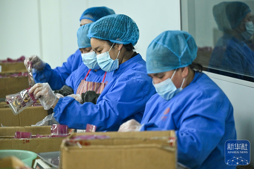 无码人妻少妇色欲AV一区二区