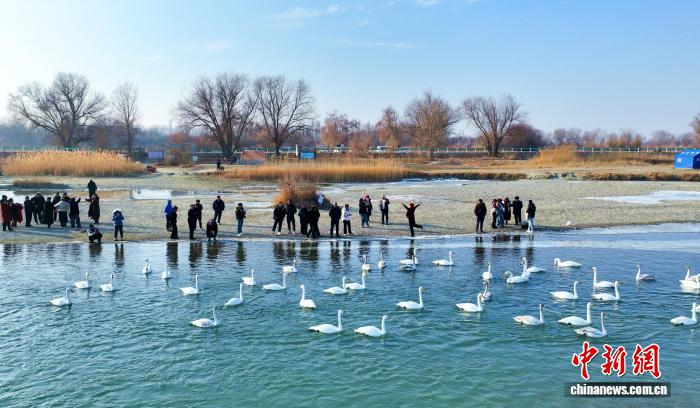 无码人妻少妇色欲AV一区二区