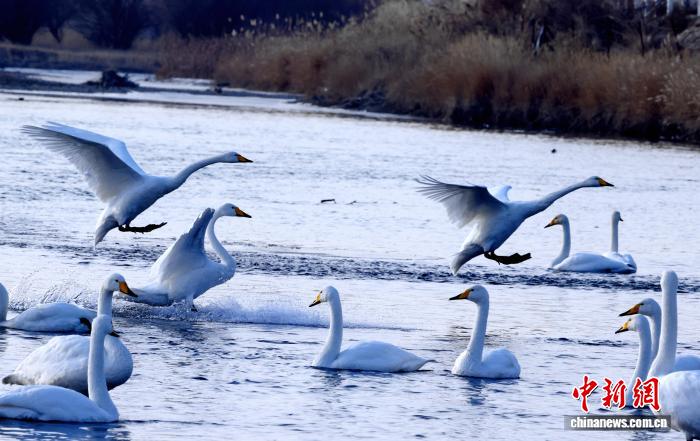 无码人妻少妇色欲AV一区二区