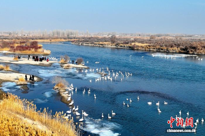 无码人妻少妇色欲AV一区二区