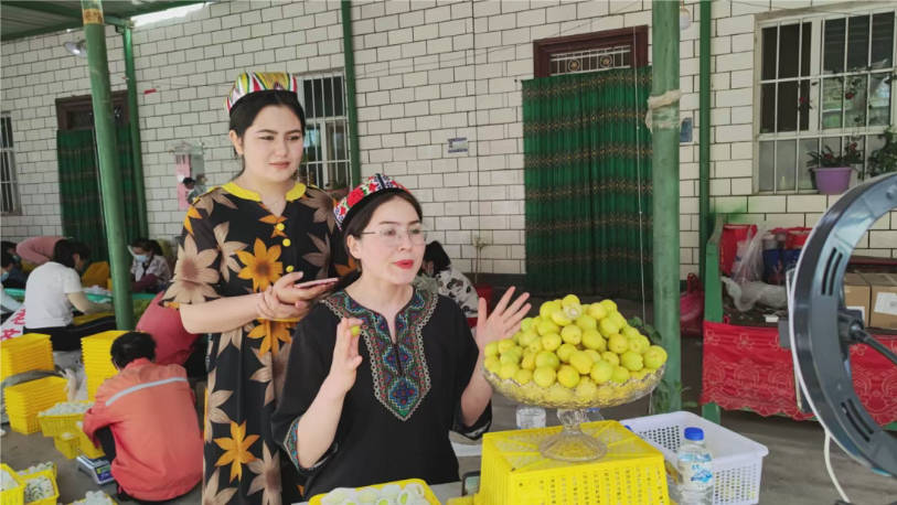 无码人妻少妇色欲AV一区二区