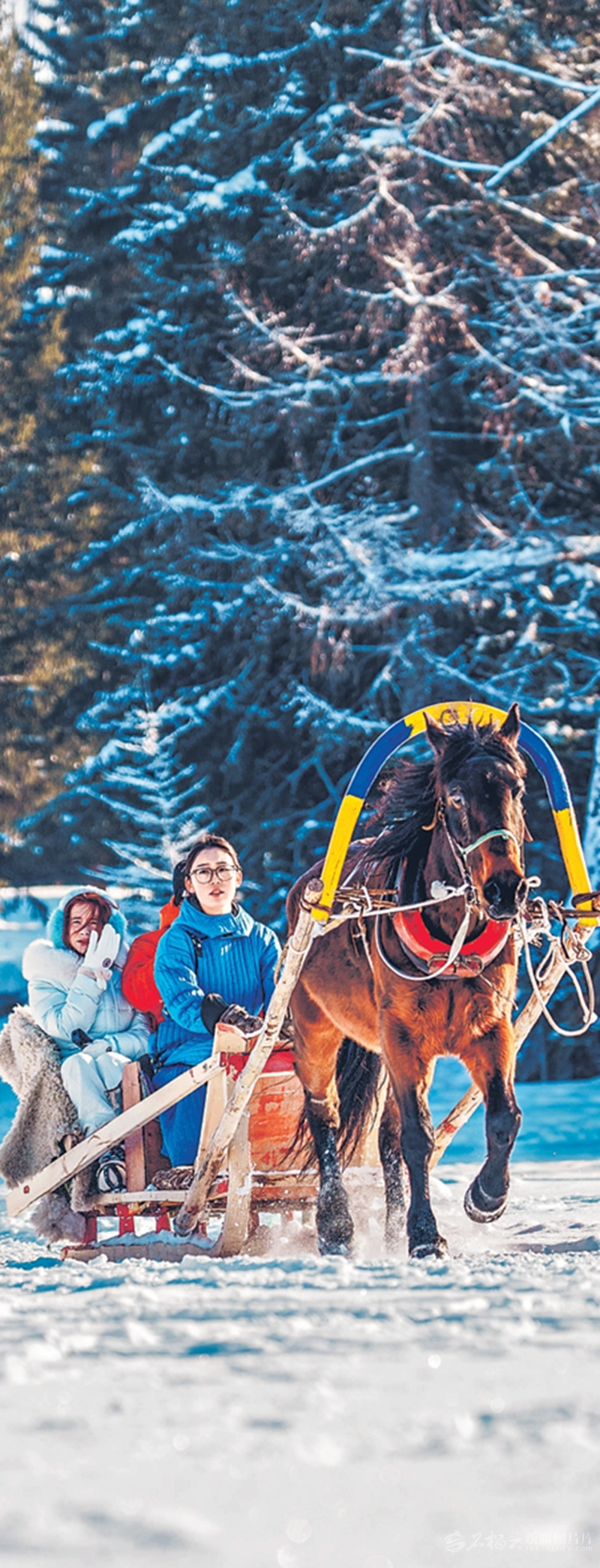 无码人妻少妇色欲AV一区二区