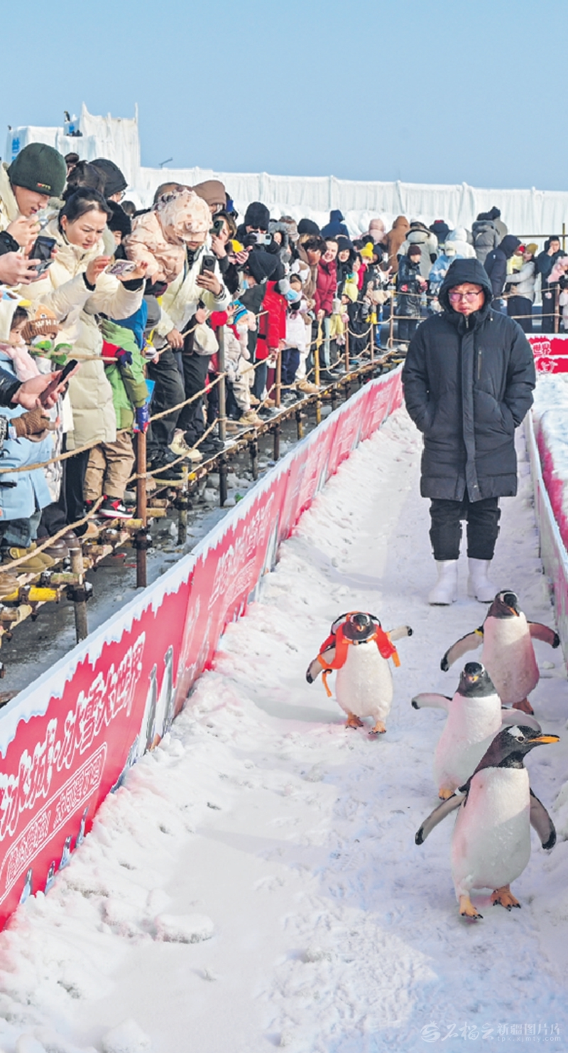无码人妻少妇色欲AV一区二区