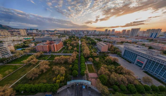 无码人妻少妇色欲AV一区二区